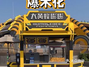 Big Yellow Bee Boom Boom