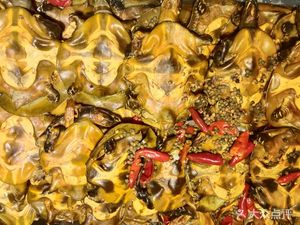 Wholesale Spicy Small Softshell Turtles