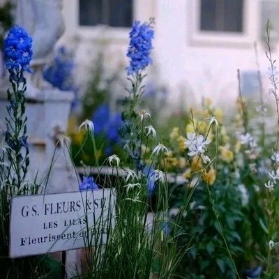 Sanqian · Garden Coffee