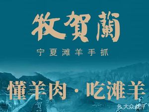 Muhuilan·Halal Ningxia Cuisine·Ningxia Belt Buckwheat Hand-Grab (Li Shui Bridge Branch)