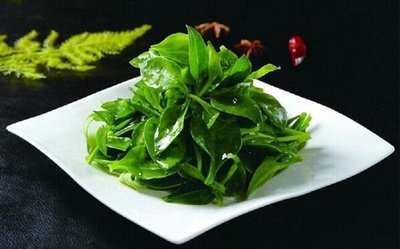 Hongluo Garden Restaurant - Chinese Restaurant