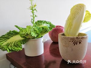 China Renmin University - North District Canteen