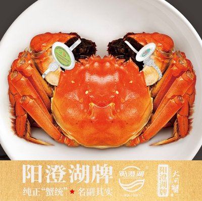 Yangcheng Lake Brand Mud Crab (Beijing Flagship Store)