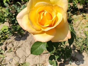 Hongxiang Restaurant (Baiwang Hongxiang Branch)