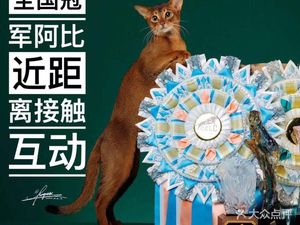 Beijing Mu Wei Abyssinian Cat House