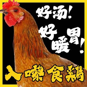 Da Tu Zi Tu Ji, Ye Zi Ji, Zhao Fe Ci (Shiji Jin Yuan Store)