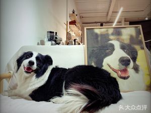 Fluffington Cats & Deer Cafe & Bar Night