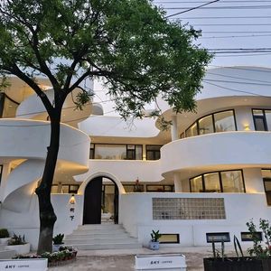 Under the Tree Coffee