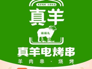 Zhen Yang Electric Skewers (Xiao Tun Branch)