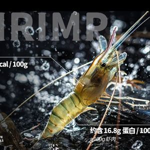 Feishan • Vinegar • Coconut Chicken (Youth Road Branch)