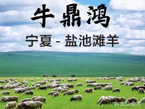 牛鼎鸿 Northwest Cuisine Beef Noodle (Wudaokou Branch)