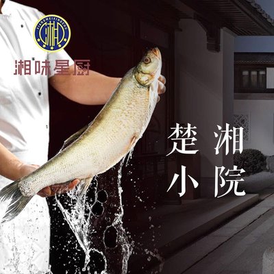 Xiang Wei Xing Chu · Chu Xiang Xiao Yuan (Jingmen Lu Dian)