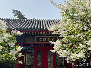 Gong Shi Yi Ting • Lao Fu Cheng Gui Shou Afternoon Tea (Yi He Yuan Store)