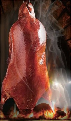 Shi Chang Yuan Roast Duck Restaurant