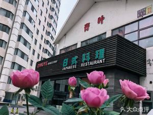 Qing Ye Japanese Cuisine (North Star Branch)