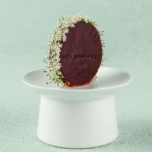 LES MORILLES Lo Mérile