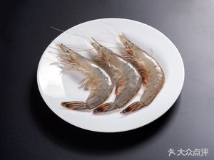 Shepherd's Lamb Bones, Spine, and Ribs