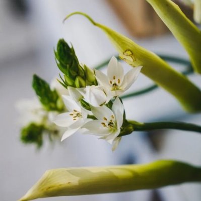 Somethin' Brewin' Coffee