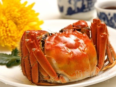 爱上虾蟹情大闸蟹小龙虾