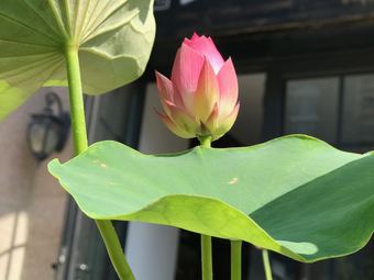 Yi He Beautiful Life Hall · Living Room