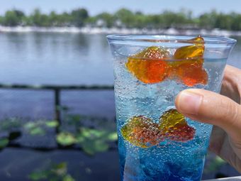 Houhai Is Not the Sea