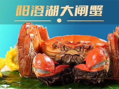 Yangcheng Lake Da Crape Myrtle (Lan Dian Chang Store)