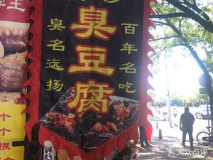 Changsha Stinky Tofu + Specialty Roasted Cold Noodles