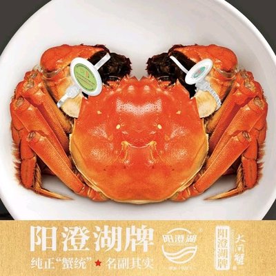 Yang Cheng Lake Brand Mud Crab (Beijing Flagship Store)