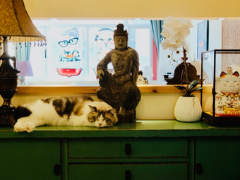 One Room Rice Cat & Café – Simple Meals