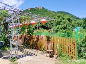 Chen Zhonghe Farmhouse Cuisine · Roasted Rainbow Trout
