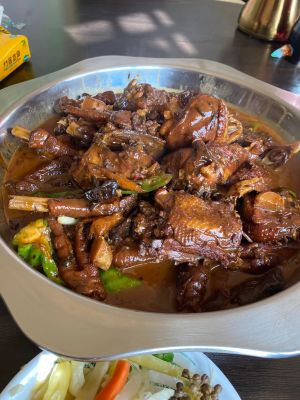 Pihai Yuan Tieguo Duran Gongqi Dutan Ga Yu