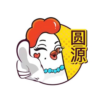 Yuanyuan Braised Chicken Rice