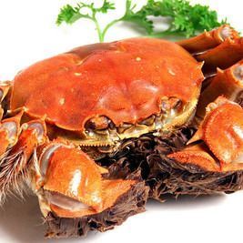 Yangcheng Lake Daoxiangwan (Outside Deshengmen Branch)