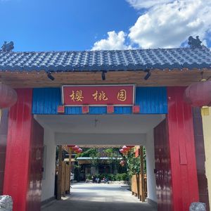 Cherry Blossom Garden