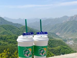 Village Mouth Tree • Cafe • B&B