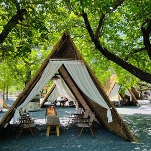 Wilderness Campfire & BBQ Fun Park