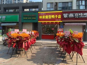 Lin's Slim Duck Shop (Hongyang Xuriri Fourth Zone North Store)