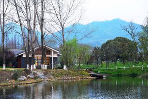 Lagooon Bai Ling Island Coffee (Xuanwu Lake Branch)