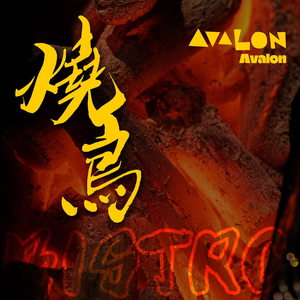 Avalon Charcoal Bar (Small Pub)