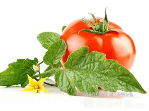 Cao's Big Bowl Pidou Noodles (Hongshan Zoo Branch)