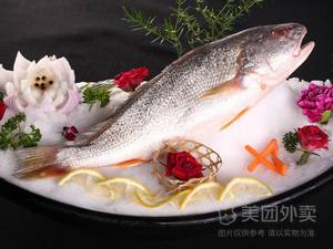 Chi's Barbecue (Zhengyang Road Branch)