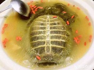 Medicinal Chicken Nest (Sanjiang College Store)
