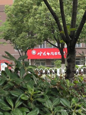 Snowflake Beef Sirloin Noodles