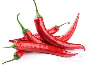 One Squid Under Heaven (Huxi Garden Branch)