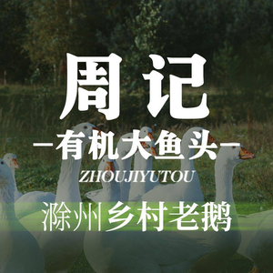 周记·土烧鱼头CCTV上榜品牌(建邺万达店)