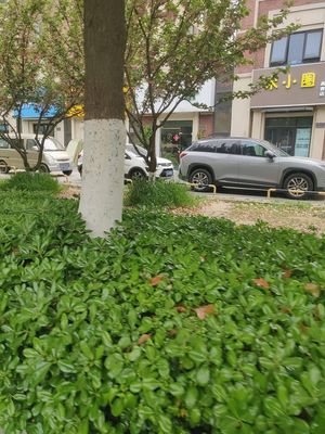 Miao Xiao Quan Food Store