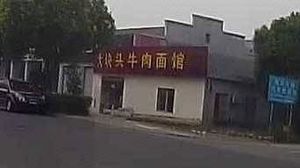 Big Head Old Goose Sauce Noodles