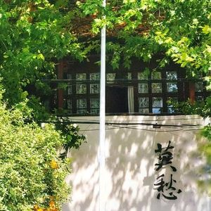 Mochou Coffee · Plants · Space