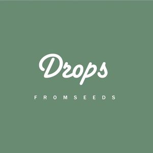 Drops Coffee Studio