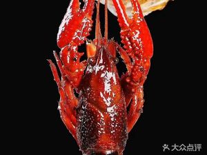 Xiang He Xuyi Lobster